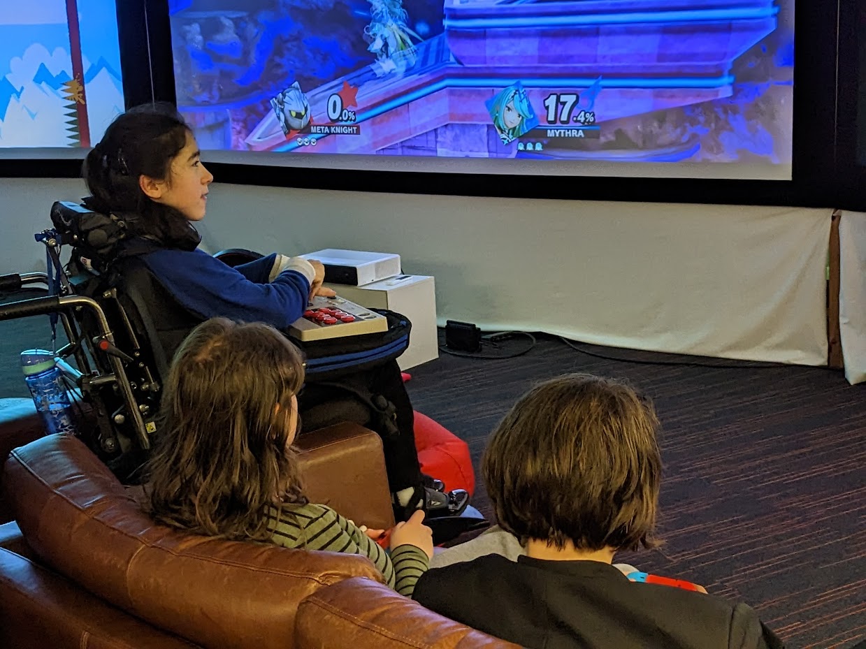 Amy playing with some new friends on Mario Kart